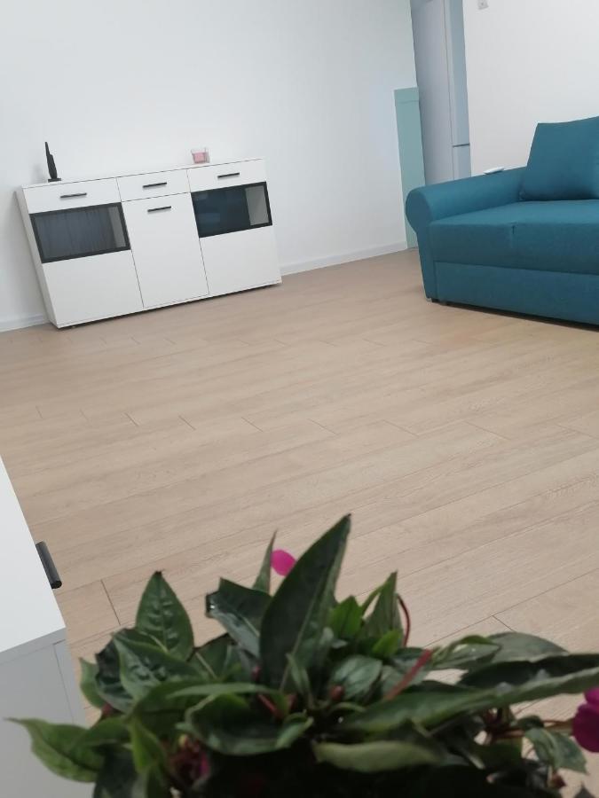 Locatia Perfecta In Centru Apartment Cluj Napoca Bagian luar foto